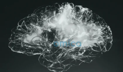 Can Physics Truly Explain the Human Mind