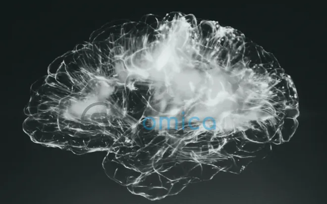 Can Physics Truly Explain the Human Mind