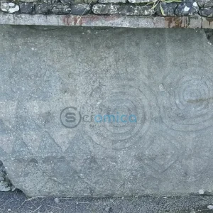 DNA Research Disproves Myth of Incestuous Elites in Ancient Ireland 14