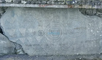 DNA Research Disproves Myth of Incestuous Elites in Ancient Ireland 3