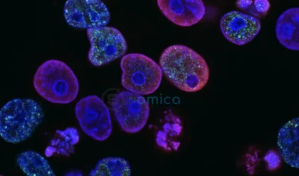 Groundbreaking Gene Editing of Mitochondrial DNA in Patient Cells Achieved by Scientists 5