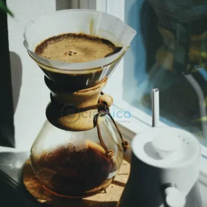 Researchers Discover How Morning Coffee Activates Ancient Longevity Mechanisms 20