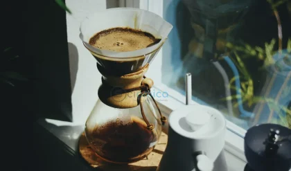 Researchers Discover How Morning Coffee Activates Ancient Longevity Mechanisms 7