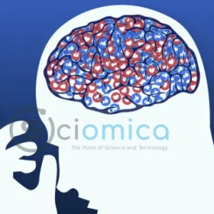 The Role of Brain Cells in Depression: Are They Potentially Making Symptoms Worse? 24