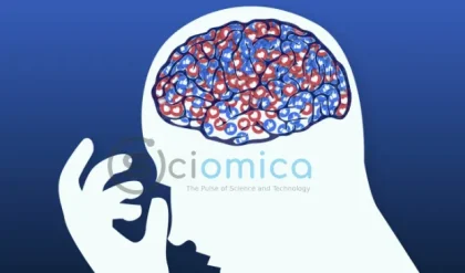 The Role of Brain Cells in Depression: Are They Potentially Making Symptoms Worse? 7