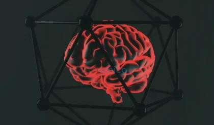 Exploring Brain Affordances: The Unique Human Superpower Beyond AI's Reach 13