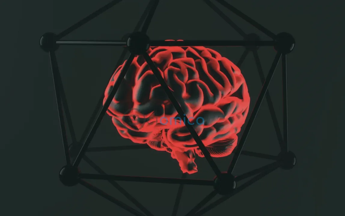 Exploring Brain Affordances: The Unique Human Superpower Beyond AI's Reach 1