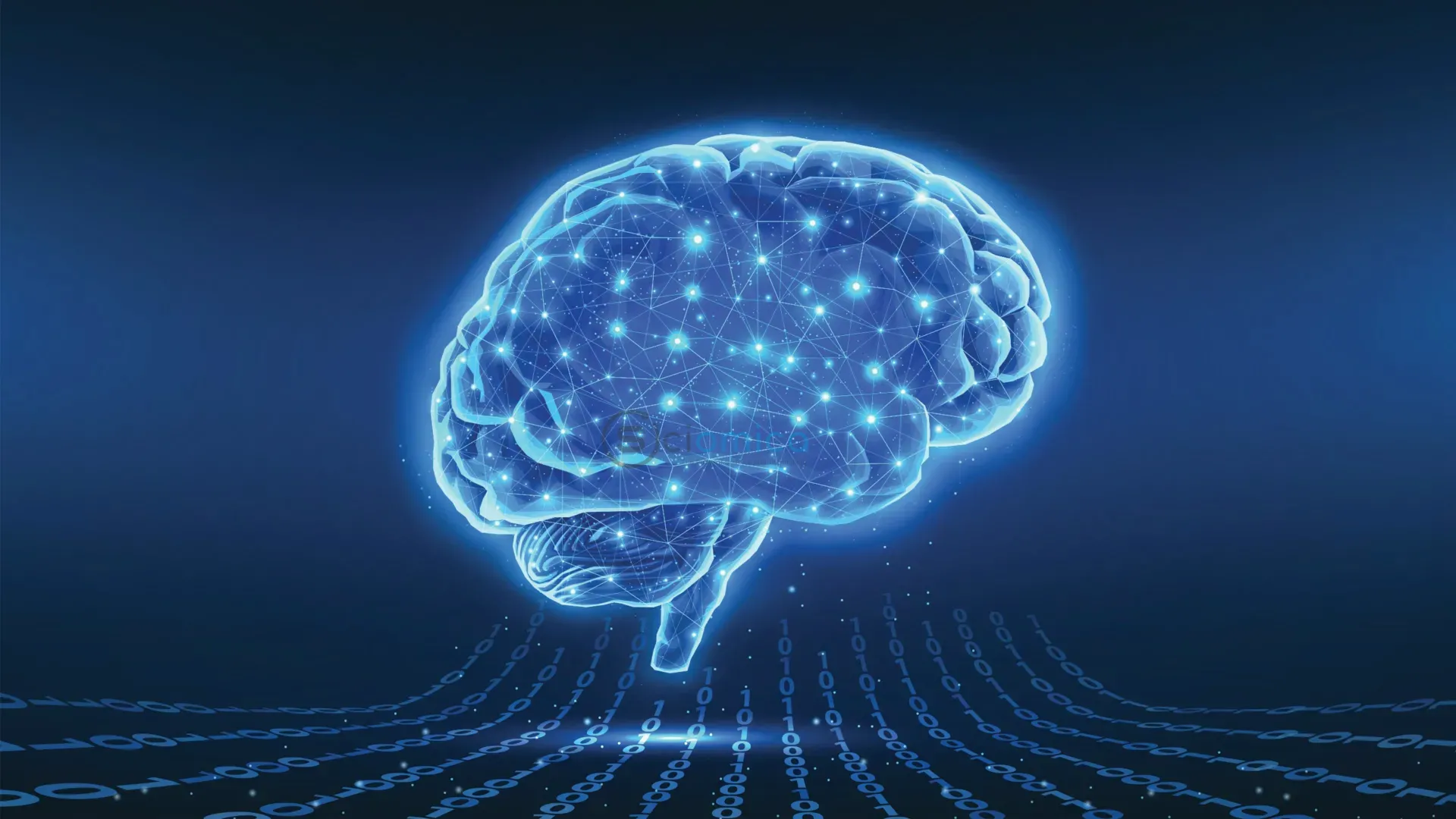 Exploring Brain Affordances: The Unique Human Superpower Beyond AI's Reach 3