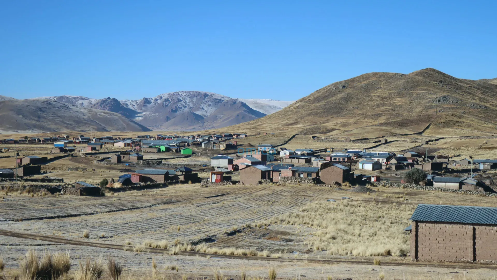 Revolutionizing Agriculture: How Ancient Andean Innovations Prevent Famine 1