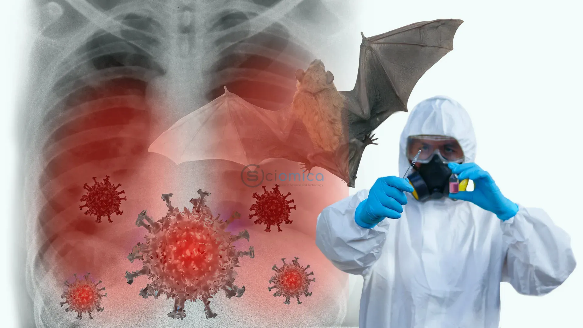 Newly Discovered Bats Viruses in China Pose Potential Pandemic Risk 3