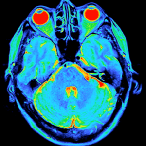Uncover Your Brain's Hidden Rhythm and Discover Your Intelligence Potential 19