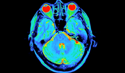 Uncover Your Brain's Hidden Rhythm and Discover Your Intelligence Potential 5