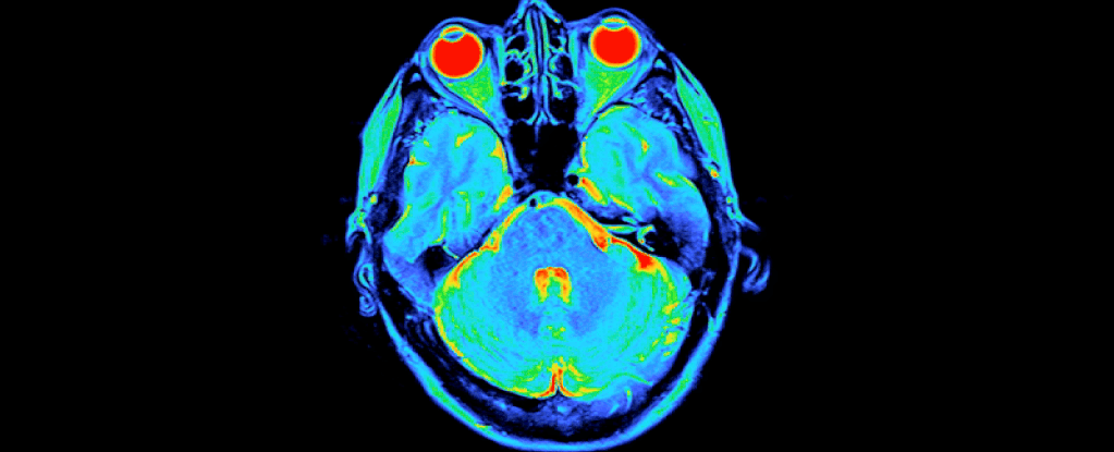 Uncover Your Brain's Hidden Rhythm and Discover Your Intelligence Potential 1