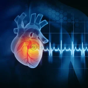 Study Reveals Surprising Benefits of Seed Oils in Inflammation Reduction 20