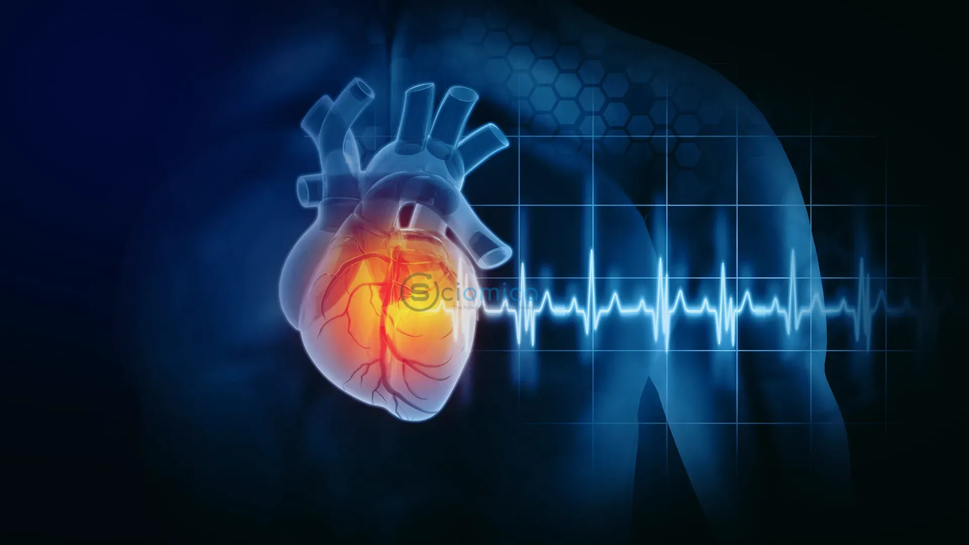 Study Reveals Surprising Benefits of Seed Oils in Inflammation Reduction 1