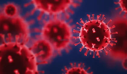 Common Drug Halts COVID-19 Protein's Immune Attack on Healthy Cells 4