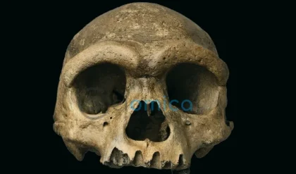 Discovering the Face of 1930s Dragon Man: Unveiling a New Ancient Human Species 10
