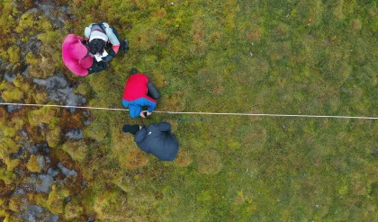 Arctic Peatlands Experience 40-Year Growth Surge Revealed by Satellite Data 15