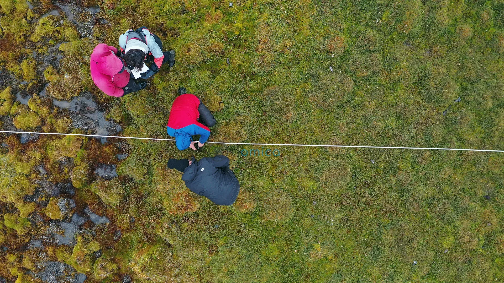Arctic Peatlands Experience 40-Year Growth Surge Revealed by Satellite Data 1