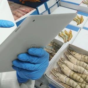 Colistin-Resistant Superbugs Found in Imported Shrimp: What You Need to Know 23