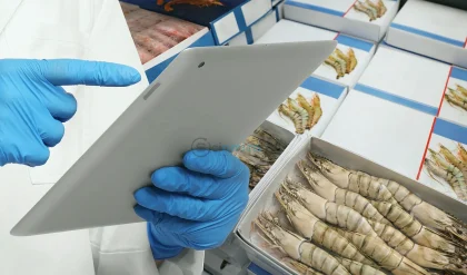 Colistin-Resistant Superbugs Found in Imported Shrimp: What You Need to Know 20