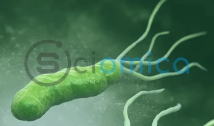 Stomach Ulcer Bacteria May Help Fight Alzheimer's Disease: New Research Insights 11