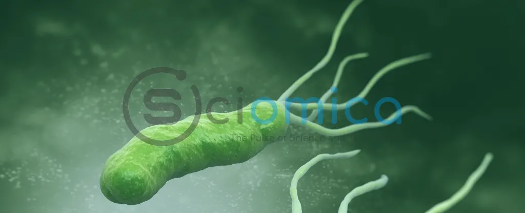 Stomach Ulcer Bacteria May Help Fight Alzheimer's Disease: New Research Insights 1
