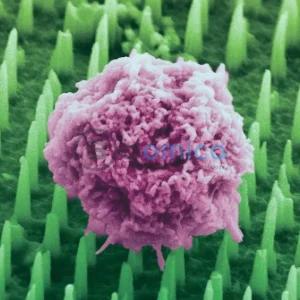 Innovative Skin Patch Promises to Replace Biopsies and Transform Cancer Detection 7
