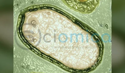 Discovery of Hundreds of Giant Mysterious Viruses in Ocean Reveals Secrets of Marine Microbial Life 23