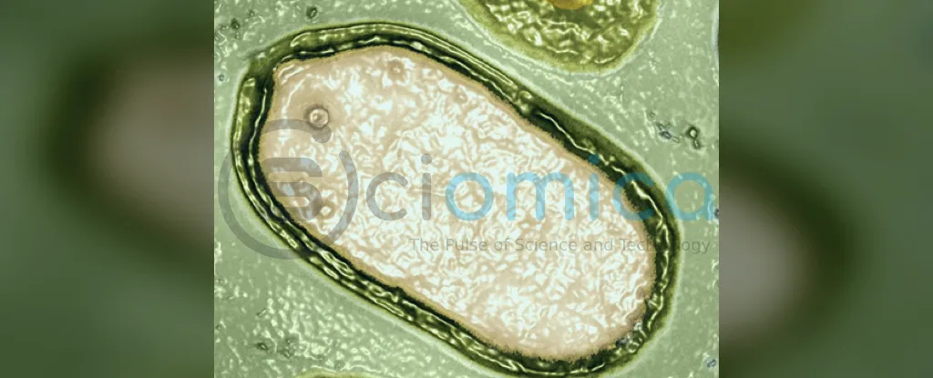 Discovery of Hundreds of Giant Mysterious Viruses in Ocean Reveals Secrets of Marine Microbial Life 1