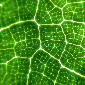 Revolutionizing Fuel Chemistry: The Impact of Photon-Powered Alchemy on Fossil Fuels 9
