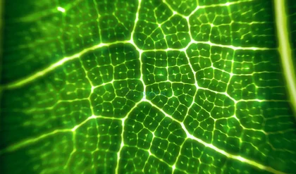 Revolutionizing Fuel Chemistry: The Impact of Photon-Powered Alchemy on Fossil Fuels 9