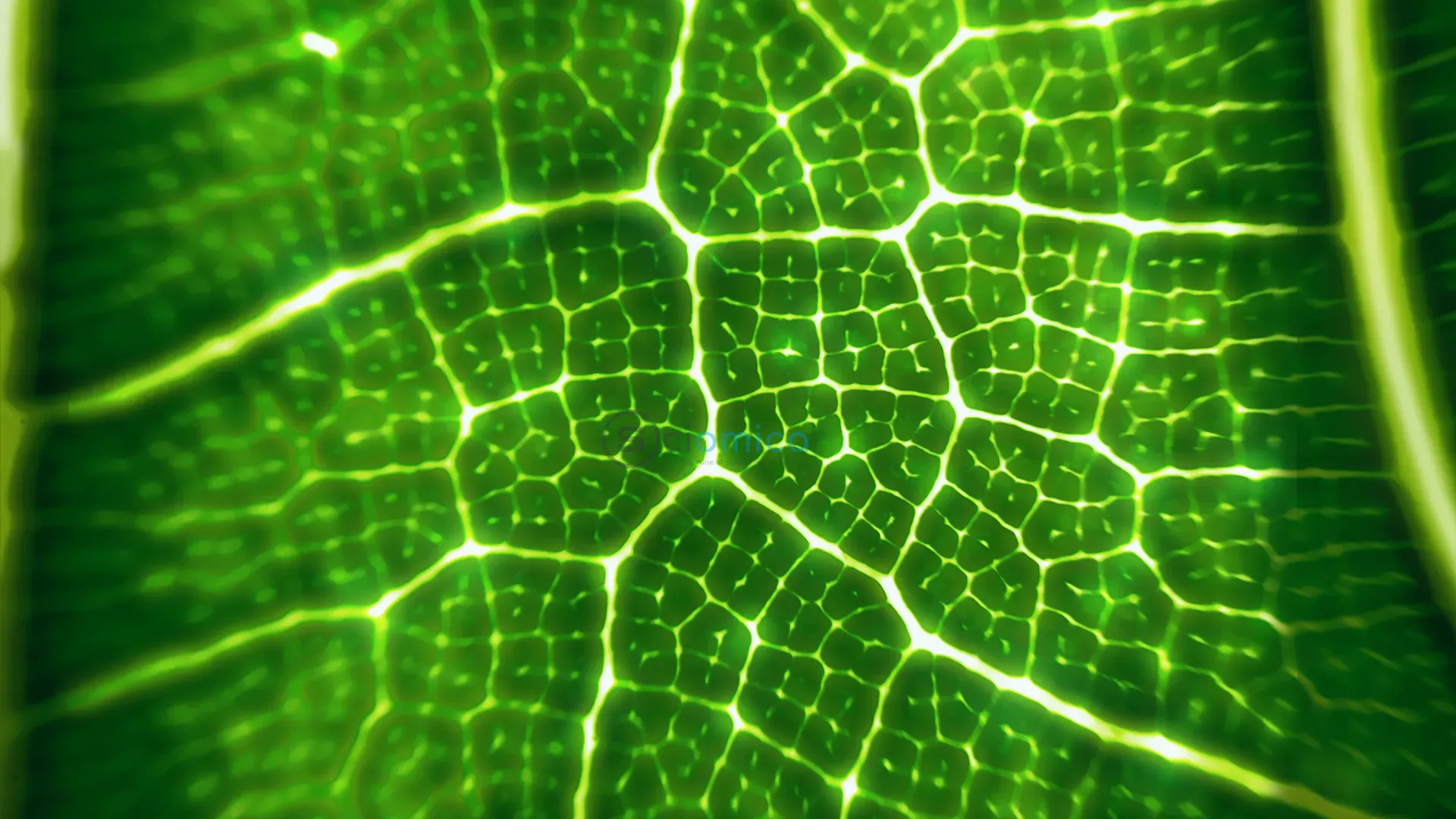 Revolutionizing Fuel Chemistry: The Impact of Photon-Powered Alchemy on Fossil Fuels 1