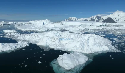 Winter Sea Ice Boosts CO2 Absorption in the Southern Ocean 23