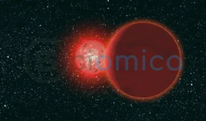 Did a Passing Star Trigger Earth's Warming 56 Million Years Ago? Insights from ScienceAlert 13