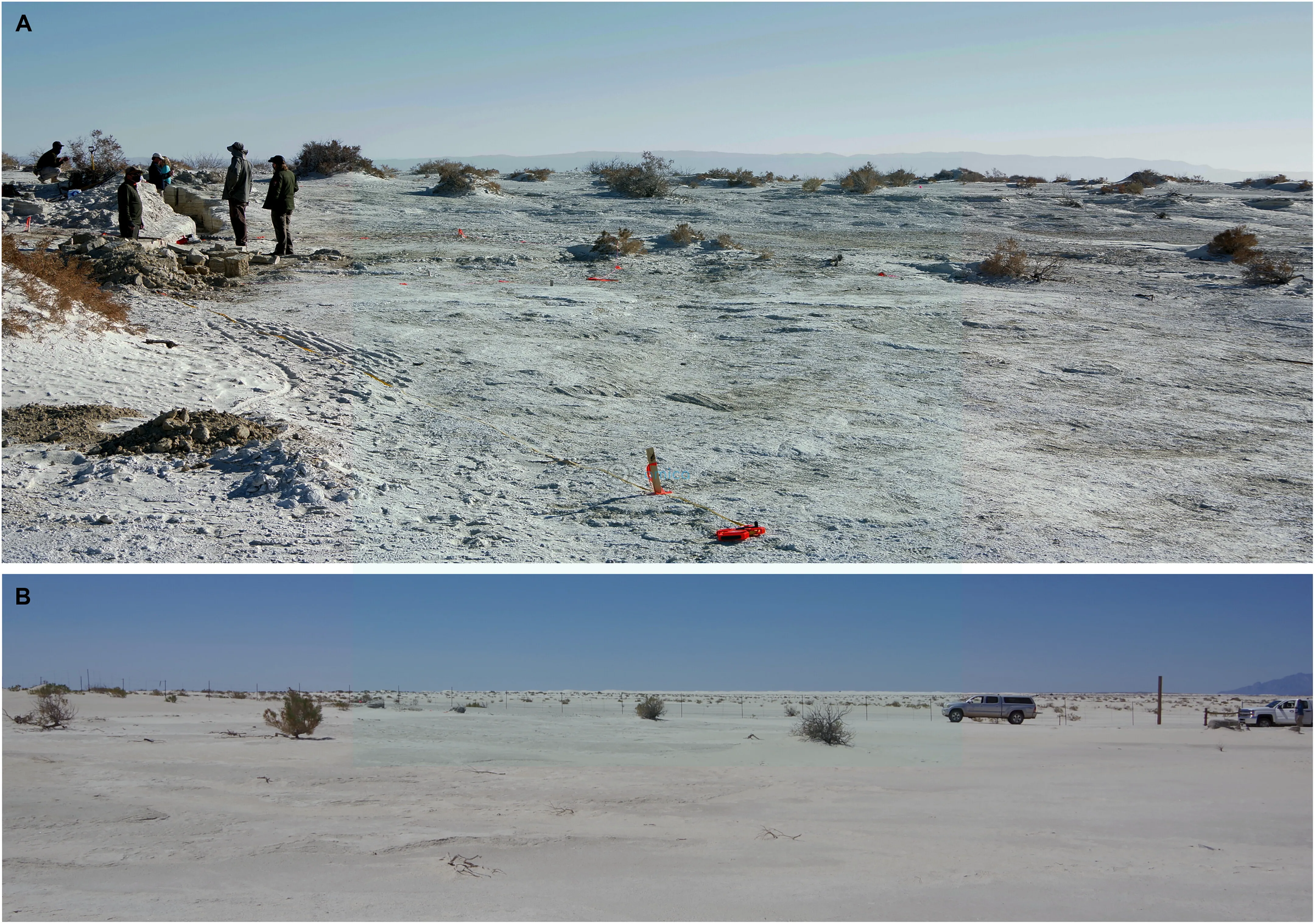 photos of the excavation site, which is a vast desert-like landscape with fine white sand and clear blue skies overhead, almost no vegetation. some researchers stand in the left, markers are scattered around, and in the second image, a 4WD is visible in the distance.