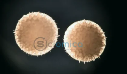 Scientists Discover Anti-Aging Drug Linked to Extended Lifespan in Animals 11