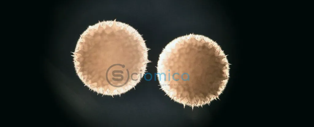 Scientists Discover Anti-Aging Drug Linked to Extended Lifespan in Animals 1