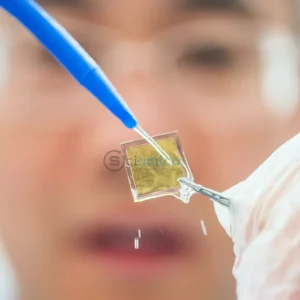 Triple-Layer Sunlight Catalyst Boosts Green Hydrogen Production by 800% 25