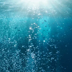 Ancient Carbon Emissions Led to Ocean Oxygen Declines – Are We Making the Same Mistake Again? 28