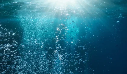 Ancient Carbon Emissions Led to Ocean Oxygen Declines – Are We Making the Same Mistake Again? 6