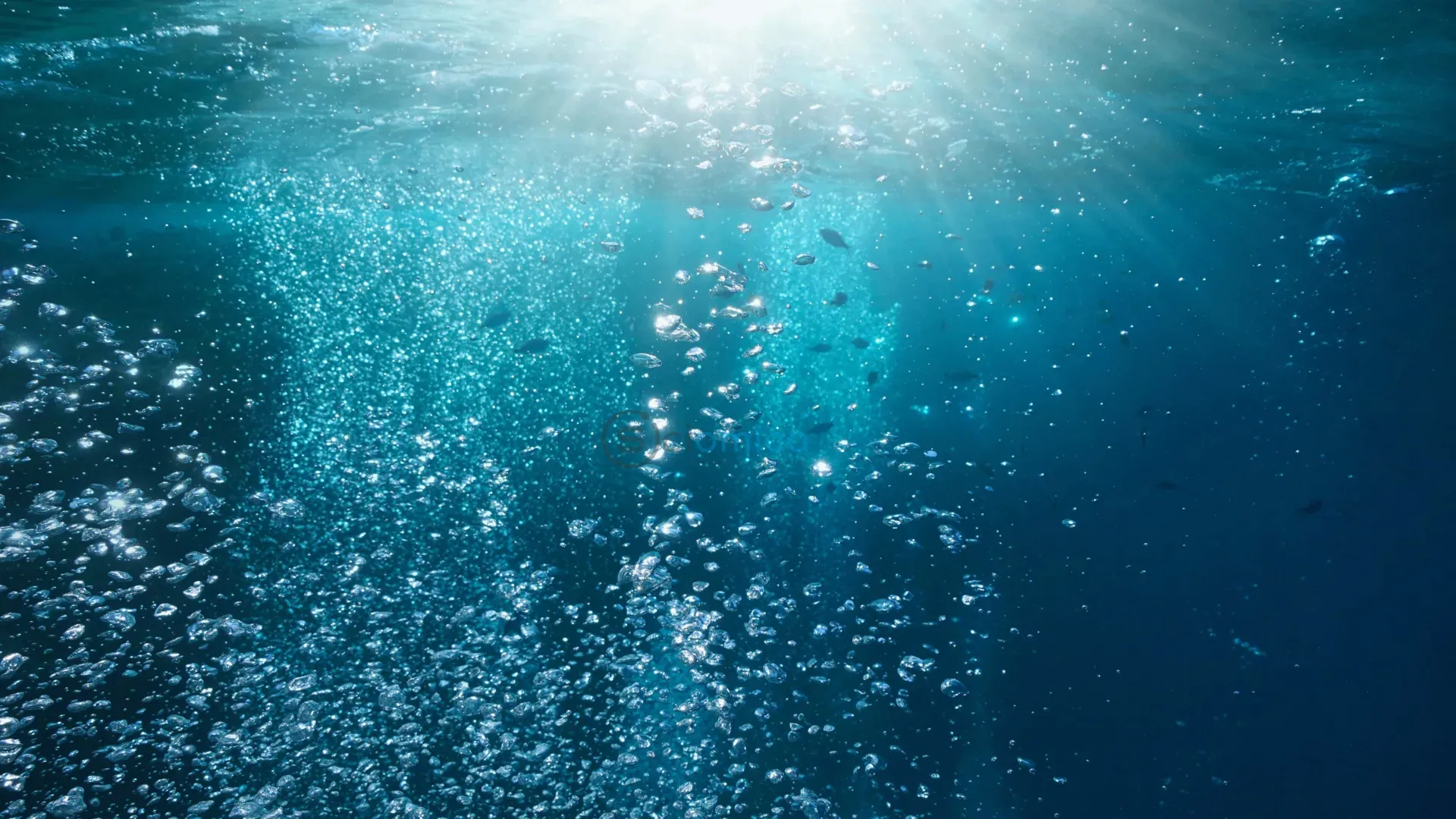 Ancient Carbon Emissions Led to Ocean Oxygen Declines – Are We Making the Same Mistake Again? 1
