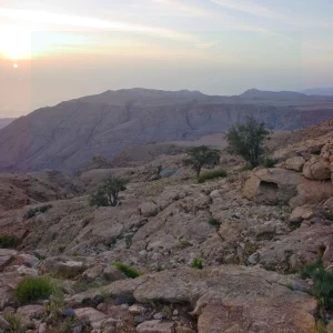 Mysterious Plume Under the Middle East Could Explain India's Geographical Position 25