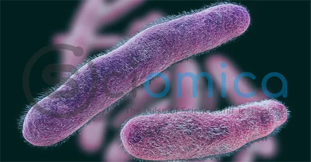 7 Common Bacteria That Cause Food Poisoning 1