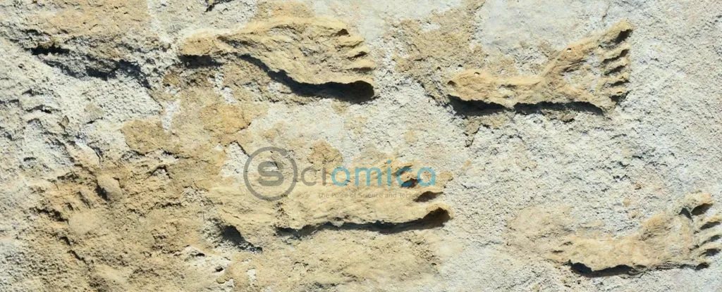 New Mexico Footprints Challenge Traditional Timeline of Human History in America 1